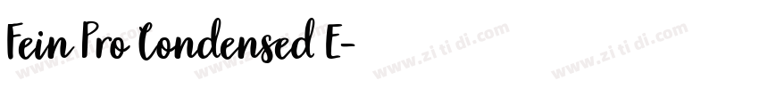 Fein Pro Condensed E字体转换